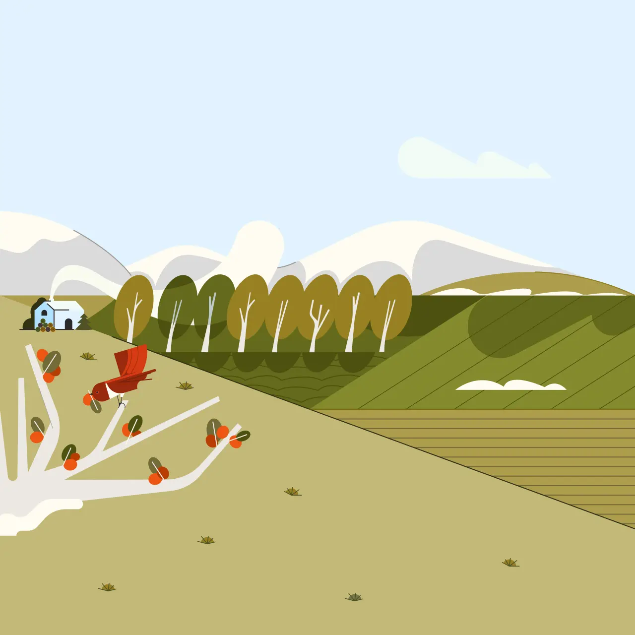 啄木鸟纯棉抗菌男士内裤3条