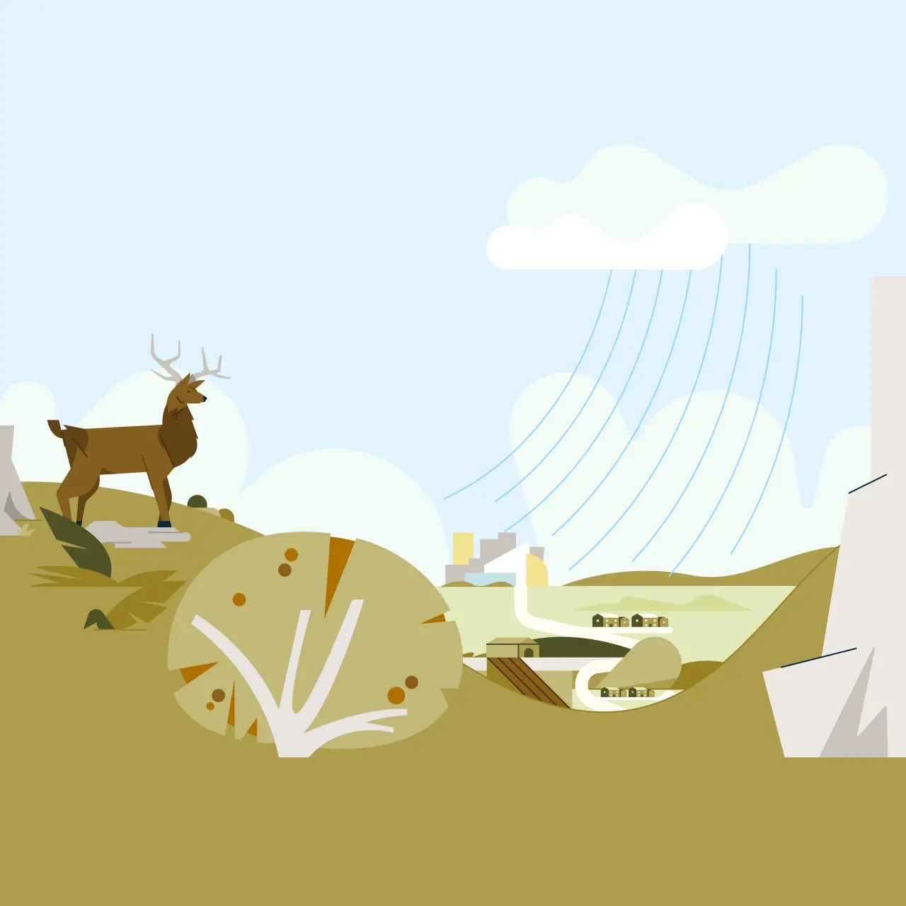 啄木鸟纯棉抗菌男士内裤3条